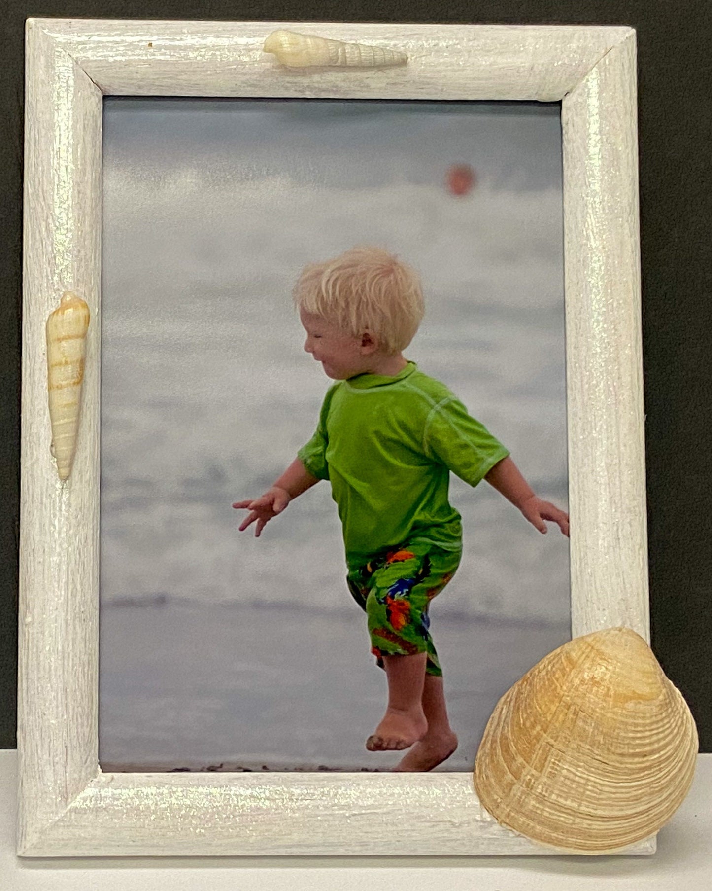 5"x7" seashell frames, wall hanging decor, authentic seashells, tropical, beach memories, seashell art, seashell gift, picture frame