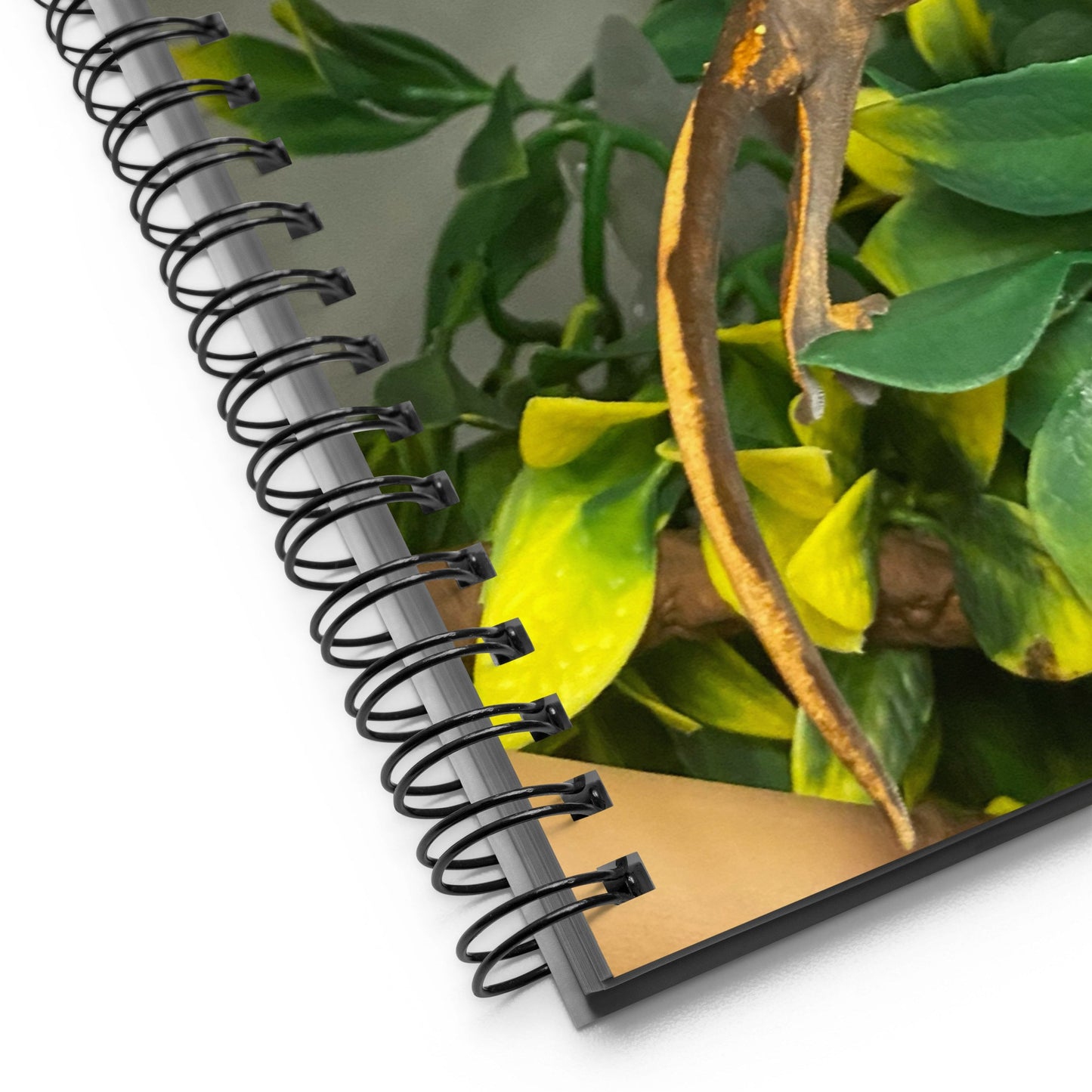 Spiral notebook, crested gecko notebook, crested gecko lover, crested gecko journal, crestie mom, crestie dad, tiny dinosaur, crestie bestie